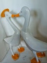 two duck statues on display made of white wood Royalty Free Stock Photo