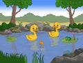 Two duck swiming on the river illustration Royalty Free Stock Photo