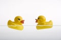 Two duckies Royalty Free Stock Photo