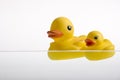 Two duckies Royalty Free Stock Photo