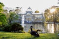 Two ducks and the Cristal Palace in Madrid