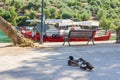Two ducks on the dock of Steni Vala village, Alonnisos island, Greece Royalty Free Stock Photo