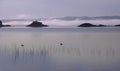 Two ducks over a foggy lake AluminÃÂ© at the morning in Villa Pehuenia, NeuquÃÂ©n, Argentina