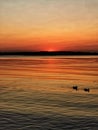 Two ducks sailing under an orange sunset Royalty Free Stock Photo