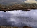 Two ducks in small tarn in the mountains Royalty Free Stock Photo