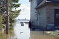 Two ducks swim on a homes flooded lawn Royalty Free Stock Photo