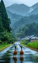Two ducks are walking on a road in the rain Royalty Free Stock Photo
