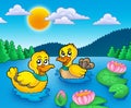 Two ducks and water lillies Royalty Free Stock Photo