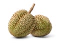 Two Durian fruits