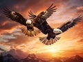 Two eagles Royalty Free Stock Photo