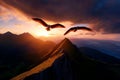 Two eagles soar gracefully over a mountain peak at sunset, showcasing the beauty of nature and freedom in a breathtaking landscape