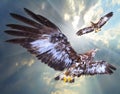 Two eagles soaring. Royalty Free Stock Photo