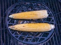 Two ears of corn on the grill top view Royalty Free Stock Photo