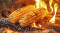 Two ears of corn, kernels glistening, roast over an open fire Royalty Free Stock Photo