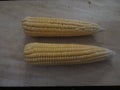 Two ears of fresh organic corn cobs on the wooden table. Royalty Free Stock Photo