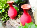Two earthen pots of red color placed side by side in a garden