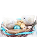 Two easter birds on nest with eggs