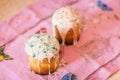 Two easter cakes Royalty Free Stock Photo