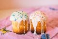 Two easter cakes Royalty Free Stock Photo