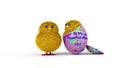 Two Easter Chicks and a multi-colored egg Royalty Free Stock Photo