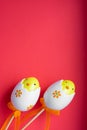 Two Easter eggs chick on pink red background Royalty Free Stock Photo