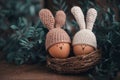 Two Easter eggs in crochet hats with rabbit ears in a nest on a wooden table. Royalty Free Stock Photo