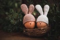 Two Easter eggs in crochet hats with rabbit ears in a nest on a wooden table. Royalty Free Stock Photo