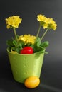 A primrose and Easter eggs Royalty Free Stock Photo