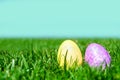 Two Easter eggs on the green grass and sky background Royalty Free Stock Photo