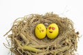 Two Easter eggs painted with emojis, one in love and other kissing, placed into a nest in isolated white background Royalty Free Stock Photo