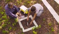 Two ecologist getting samples of soil in the forest