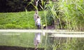 Two ecologist getting samples of water in city park