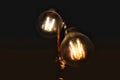Two Edison lightbulbs hanging from a ceiling Royalty Free Stock Photo