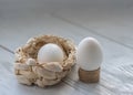 Two egg Royalty Free Stock Photo