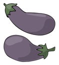 Two eggplants isolated on a white background. Vector illustration of vegetables. Royalty Free Stock Photo