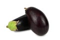 Two eggplants lying one on top of the other in water droplets isolated on a white background Royalty Free Stock Photo