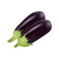 Two realistic eggplants on white background.