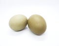 Two Eggs Background White Royalty Free Stock Photo
