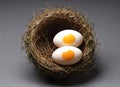 Two eggs in a bird nest Ai Generated Royalty Free Stock Photo