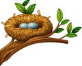 Two eggs in bird nest Royalty Free Stock Photo