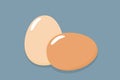 Two eggs brown and white eggs. Flat icon. Vector