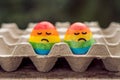 Two eggs are colored in the colors of the rainbow as a flag of g Royalty Free Stock Photo