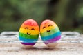 Two eggs are colored in the colors of the rainbow as a flag of g Royalty Free Stock Photo