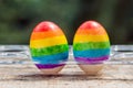 Two eggs are colored in the colors of the rainbow as a flag of g Royalty Free Stock Photo