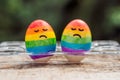 Two eggs are colored in the colors of the rainbow as a flag of g Royalty Free Stock Photo