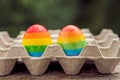 Two eggs are colored in the colors of the rainbow as a flag of g Royalty Free Stock Photo