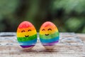 Two eggs are colored in the colors of the rainbow as a flag of gays and lesbians as well as Easter eggs. Homosexual concept Royalty Free Stock Photo