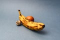 Two eggs of different sizes and banana composing a penis. Concept varicocele Royalty Free Stock Photo