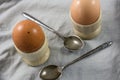 Two eggs in egg cups with spoons Royalty Free Stock Photo