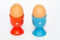 Two eggs in egg holders Royalty Free Stock Photo
